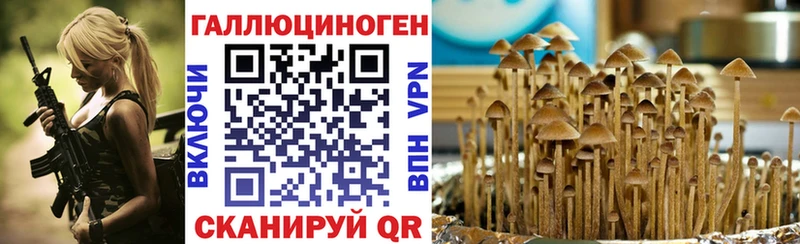 Галлюциногенные грибы Psilocybine cubensis Купить закладки Шумиха